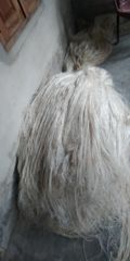 banana fiber - Image 2