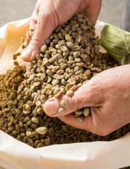 Premium Green Coffee Beans Raw Unroasted Natural Beans For Fresh Roasting Buy Fast Delivery Premium Quality Wholesale Naturally  100% Natural New Crop 25-26 GREEN COFFEE BEANS Full Washed – product photo 1, product detail gallery