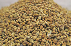 Ajwain - Image 2
