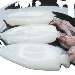 sells Frozen Squid, Frozen Calamari and Squid Ring products - Image 1