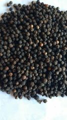 Black Pepper - Image 3