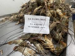 Frozen Lobster Whole - Image 4