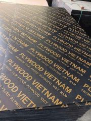Film face Plywood from Vietnam - Image 1