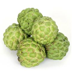 Premium Fresh Custard Apple (Sitaphal) – Maharashtra, India | Large Size | Export Quality - Image 1
