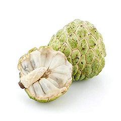 Premium Fresh Custard Apple (Sitaphal) – Maharashtra, India | Large Size | Export Quality - Image 2