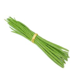 Premium Fresh Drumstick (Moringa) from India | Export Quality - Image 2