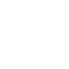 Fruits and Vegetables - Image 2