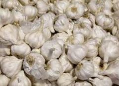Garlic Freshness Fresh Flavor Enhancement - Image 1