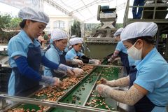 Company – thumbnail 7 of 20, supplier detail gallery