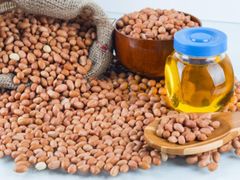 Refined Peanut Oil / where can i order Peanut Oil in bulk online / Peanut Oil market place / Wholesale price Peanut Oil/ buy groundnut oil cheap - Image 2