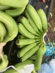 Fresh  Cavendish Banana from Vietnam origin - Image 1