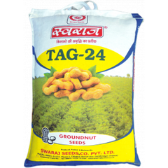 Groundnut Seeds - Image 11