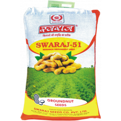 Groundnut Seeds - Image 2
