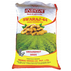 Groundnut Seeds - Image 1
