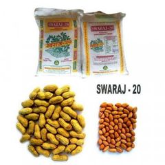 Groundnut Seeds - Image 5