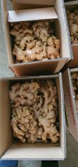 Agritec Fresh Ginger: Premium Quality, Farm-Fresh – product photo 2, product detail gallery