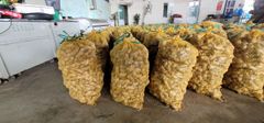 Agritec Fresh Ginger: Premium Quality, Farm-Fresh – product photo 4, product detail gallery