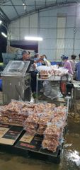 Agritec Fresh Ginger: Premium Quality, Farm-Fresh – product photo 7, product detail gallery