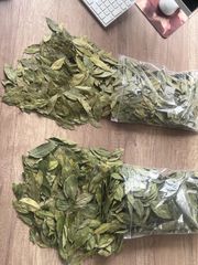 BAY LEAVES  Packaging - Image 1