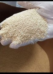 Hulled Sesame Seed - Image 2