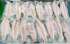 pangasius, frozen fillet, frozen fish  - Image 7