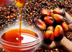 Palm oil – product photo 1, product detail gallery