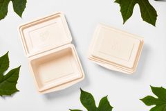 EGG Compostable Food Box 600 ml - Image 1