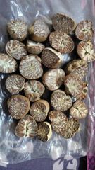 betel nut – product photo 1, product detail gallery