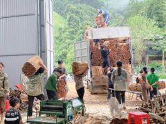 Company – thumbnail 8 of 10, supplier detail gallery