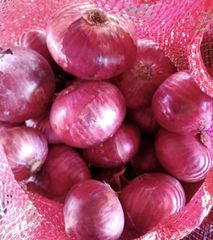 Fresh Onion Grade A Grade Size 55mm To 60mm+ Color Red, White, And Pink Packaging 10kg, 20kg, Or 25kg Durable Mesh Bags Cultivation Method Natural Cultivation Without Synthetic - Image 2