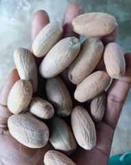 Nutmeg - Image 4