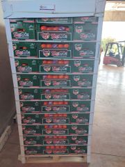 Pure Natural, Handpicked Fresh Organic Mandarin, Premium Vitamin C Fruit Choice. - Image 2