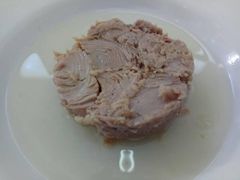Canned and pouch yellowfin, skipjack and sardines - Image 2