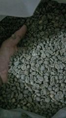 Arabica coffee beans  Material Baku Specification Kopi Processing Type Kopi Arabika green Bean froses semi - Image 2