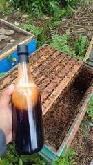 Bulk Natural Honey - Image 2