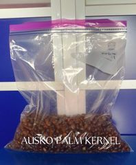 Ausko Palm Kernel Large scale production ORGANICALLY PROCESSED  - Image 1
