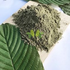 Mitragyna speciosa  - Image 3