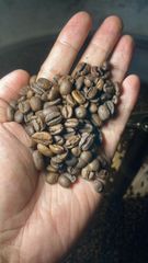 Premium Coffe Beans – product photo 4, product detail gallery