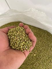 BAY LEAVES  Packaging - Image 3