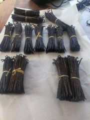 Vannila Beans – product photo 1, product detail gallery