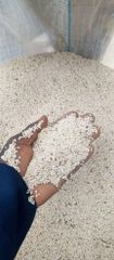 Sesame seeds – product photo 1, product detail gallery