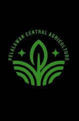 Pelalawan Central Agriculture
