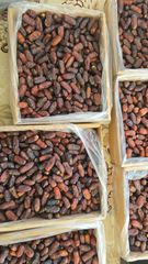 Company – thumbnail 2 of 10, supplier detail gallery