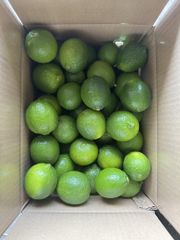 Seedless lemon - Image 2