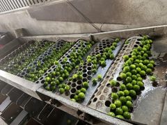 Seedless lemon - Image 3
