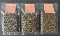 Coffee Robusta and Arabica – product photo 3, product detail gallery