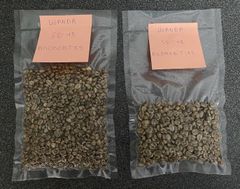 Coffee Robusta and Arabica – product photo 2, product detail gallery