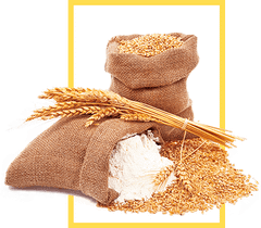 Organic Cereals Mix Organic Certification All Organic Oilseed Type Hemp Seeds, Sunflower Seeds Primary Use Human And Animal - Image 1