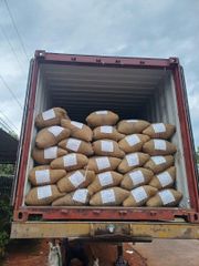 Viet Nam - Cocoa Beans - bags 50kg - Max. Moisture 12% – product photo 4, product detail gallery