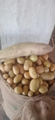 Potatoes  Place of Origin Pakistan Packaging Any packing buyers - Image 1